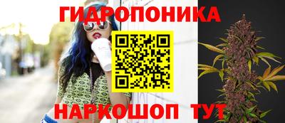 спиды Кандалакша