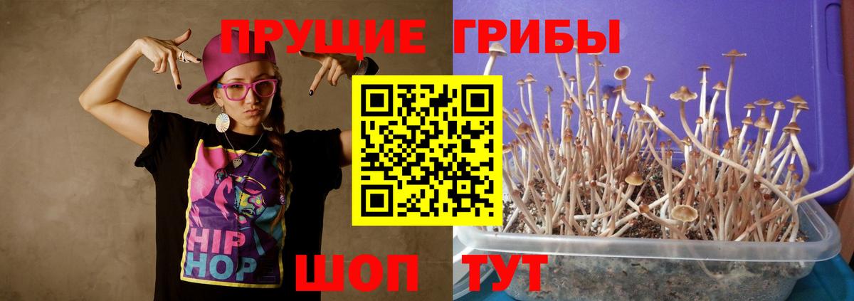 Котельники  Галлюциногенные грибы ЛСД  Вход с VPN 