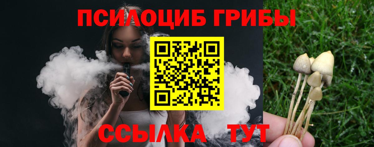 Галлюциногенные грибы прущие грибы Котельники